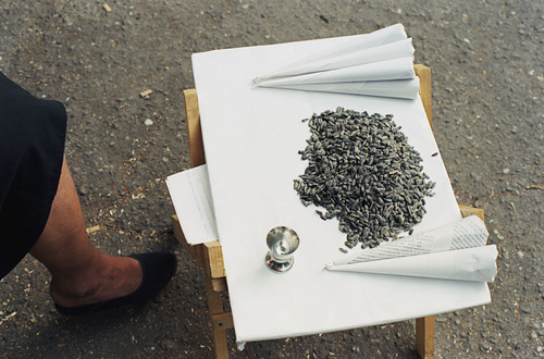 Tournesol - Roussé, 2000. 