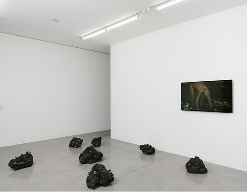 Augustin, sept jours