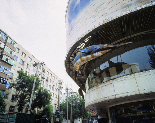 Espadon - Chaoyang, 2011.