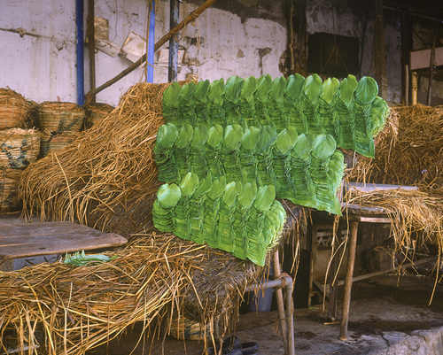 Recouvrement-Hyderabad, 2007.