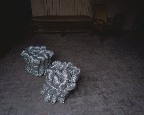 Deux argentés–Lahore, 2008. 