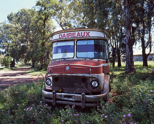 Le camion - Daireaux, 2010