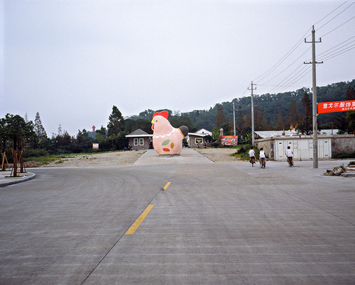 Poule-Jiaojiang, 2005.