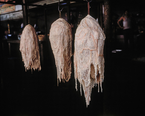 Rêve-Xichang, 2005.