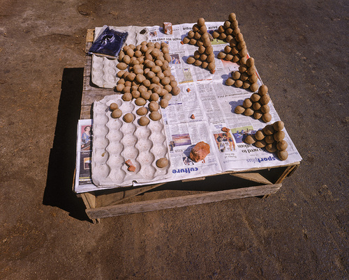 Sport/Culture-Chennai, 2007.