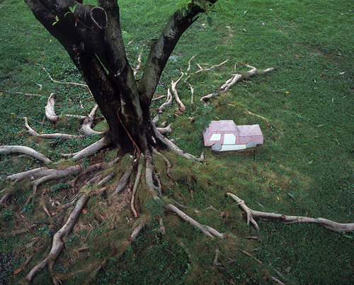 Assise-Meizhou, 2005.