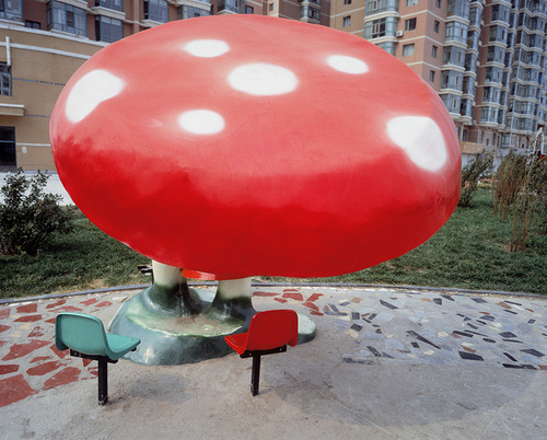 Champignon - Changchun, 2011.