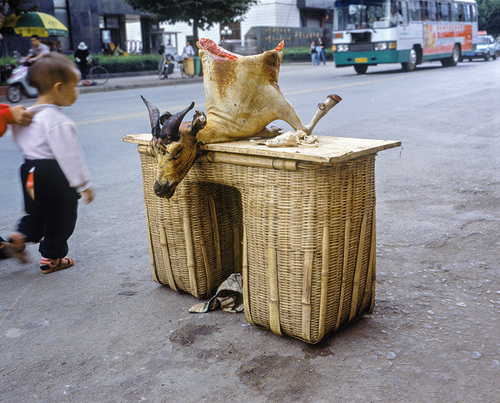 Coupé-Kunming, 2005.