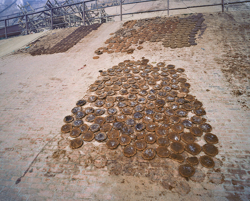 Edrem-Varanasi, 2006.