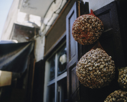 Escargots-Fès, 2004.