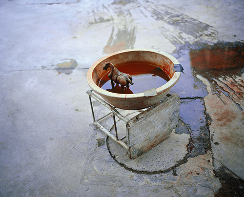 Cheval et bassine-Bengbu, 2007.