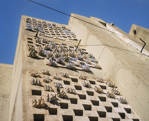 Boucher-Hassi Messaoud, 2005.