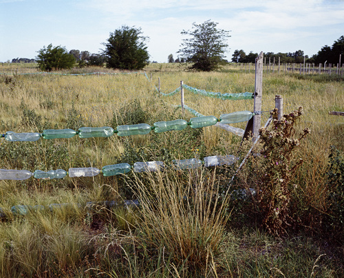  La ferme pédagogique (2) - Daireaux, 2010