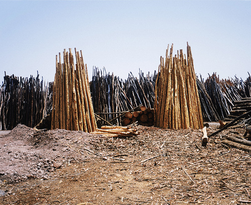 Blanc-Marrakech, 2004.