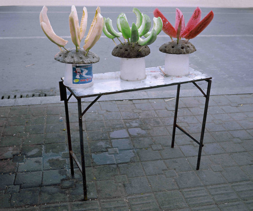 Tricolore-Linyi, 2007.