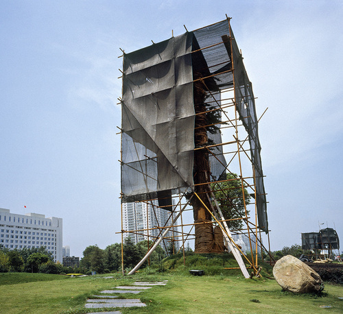 Arbre-Wuhan, 2005.