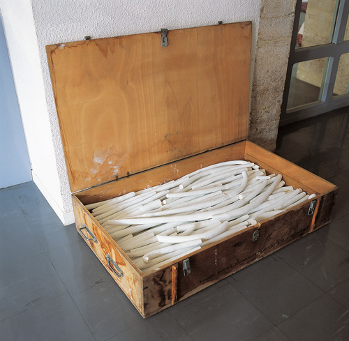 Ce que je cherche à faire