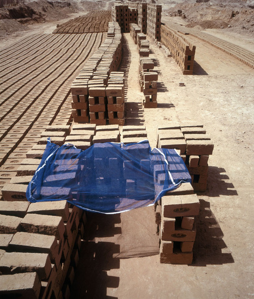 Abri–Quetta, 2008. 