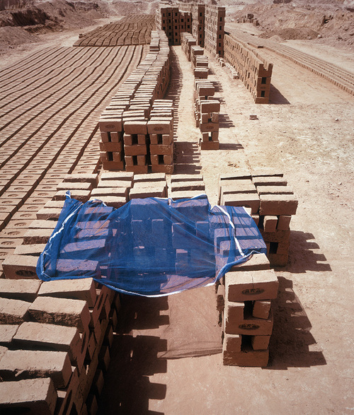 Abri–Quetta, 2008. 