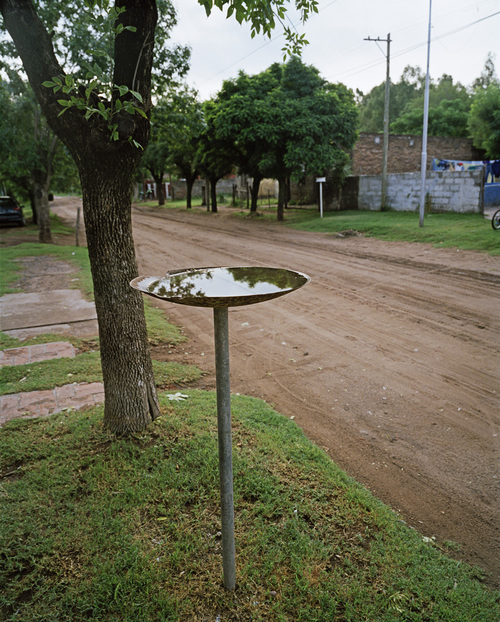 La poubelle - Daireaux, 2010