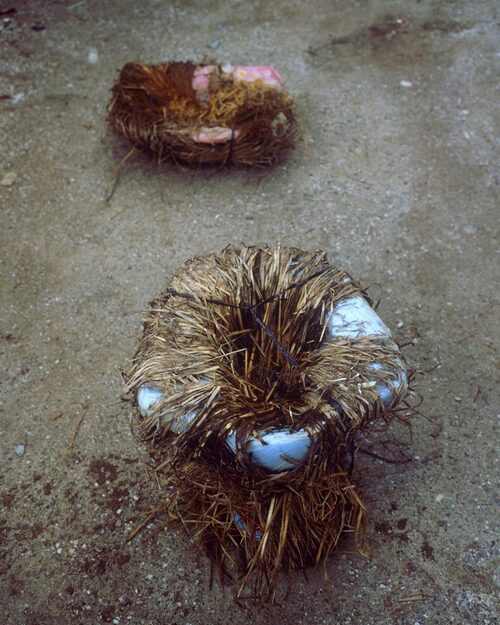 Rose et bleu-Gwalior, 2007.