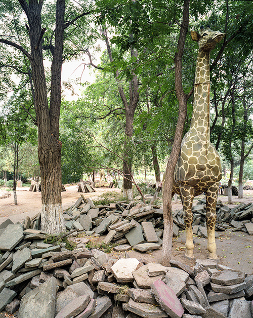 Le parc - Chaoyang, 2011.