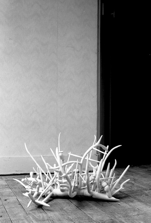 Pour ne pas oublier 2